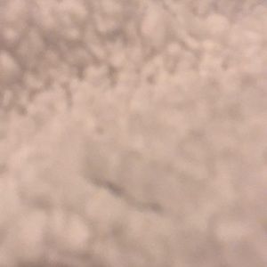 Meet your Posher, Sofia